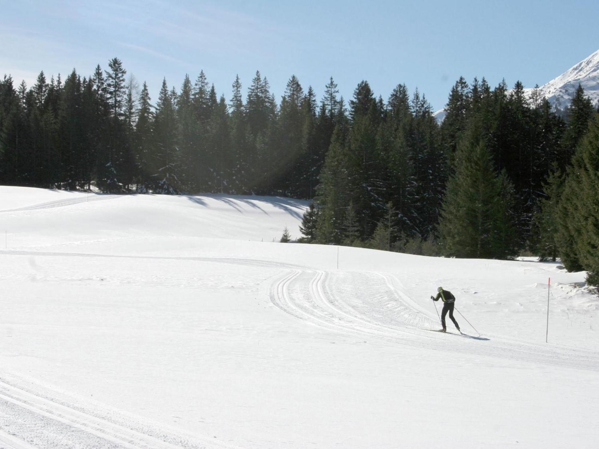 Nice Chalet In Hohentauern Styria With Sauna Villa Esterno foto