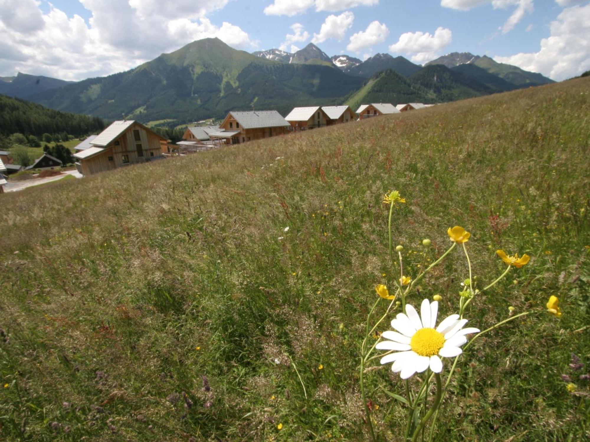 Nice Chalet In Hohentauern Styria With Sauna Villa Esterno foto